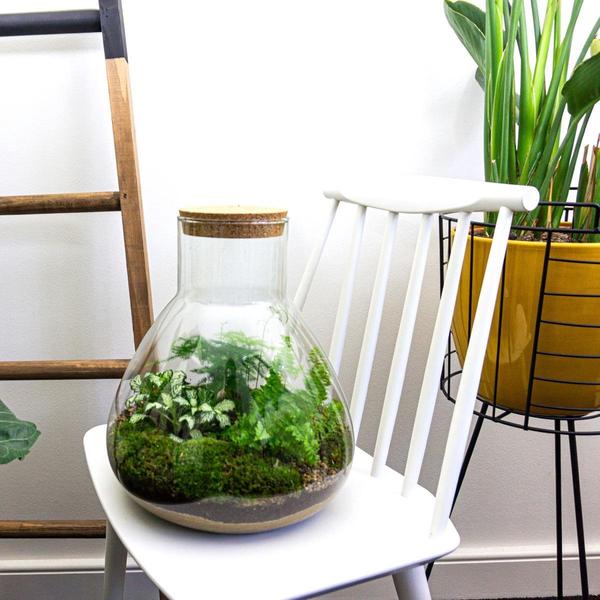 DIY Planten terrarium met licht – Sam XL Green – Ø 30 cm ↑ 32 cm – No tools