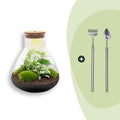 DIY Planten terrarium met licht – Sam XL Green – Ø 30 cm ↑ 32 cm – Rake + Shovel