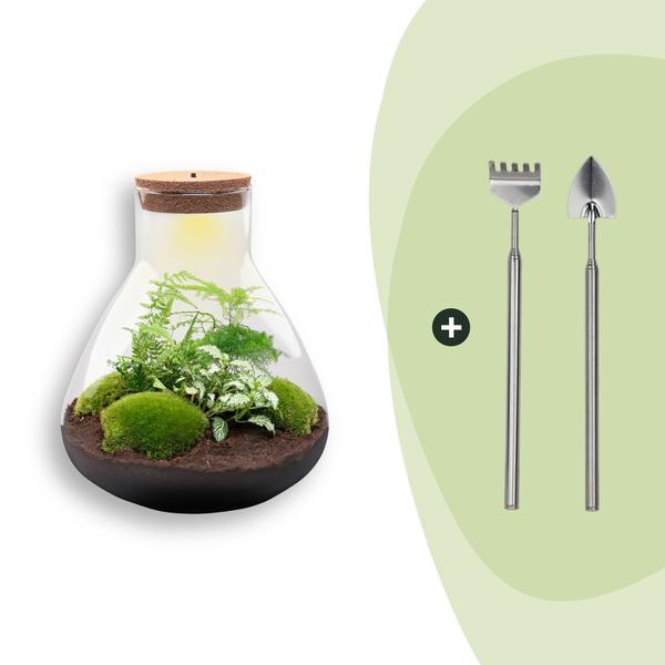 DIY Planten terrarium met licht – Sam XL Green – Ø 30 cm ↑ 32 cm – Rake + Shovel