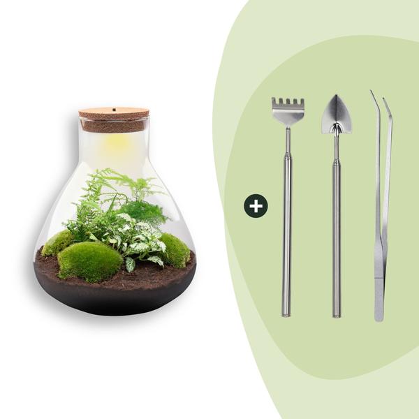 DIY Planten terrarium met licht – Sam XL Green – Ø 30 cm ↑ 32 cm – Rake + Shovel + Tweezer