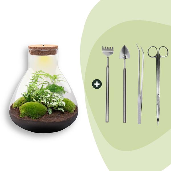 DIY Planten terrarium met licht – Sam XL Green – Ø 30 cm ↑ 32 cm – Rake + Shovel + Tweezer + Scissors