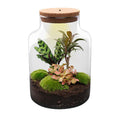 DIY Planten terrarium met licht – Milky – Ø 21 cm ↑ 30 cm – No tools