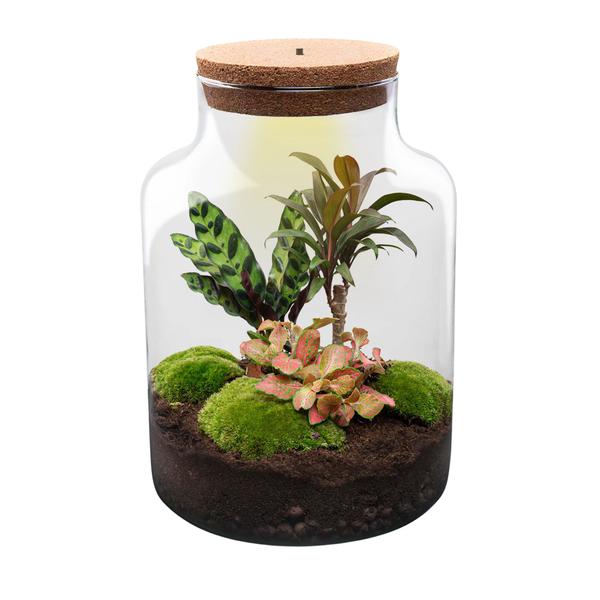 DIY Planten terrarium met licht – Milky – Ø 21 cm ↑ 30 cm – No tools