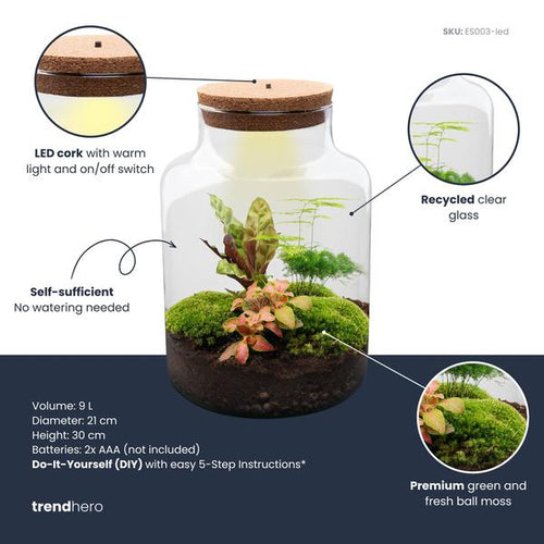 DIY Planten terrarium met licht – Milky – Ø 21 cm ↑ 30 cm – No tools