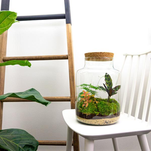 DIY Planten terrarium met licht – Milky – Ø 21 cm ↑ 30 cm – No tools