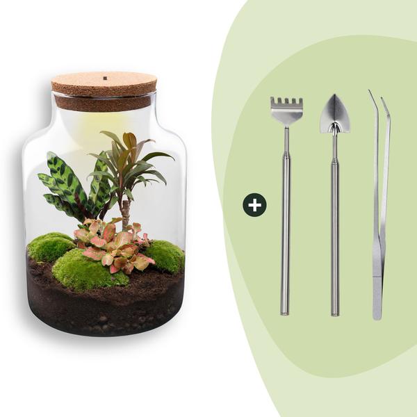 DIY Planten terrarium met licht – Milky – Ø 21 cm ↑ 30 cm – Rake + Shovel + Tweezer