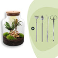 DIY Planten terrarium met licht – Milky – Ø 21 cm ↑ 30 cm – Rake + Shovel + Tweezer + Scissors