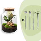 DIY Planten terrarium met licht – Milky – Ø 21 cm ↑ 30 cm – Rake + Shovel + Tweezer + Scissors
