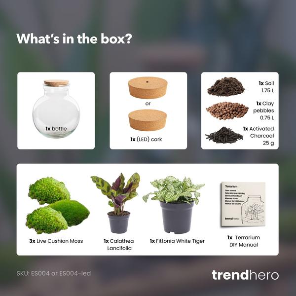 DIY Planten terrarium (met licht) – Teddy – Ø 25 cm ↑ 26,5 cm – No tools