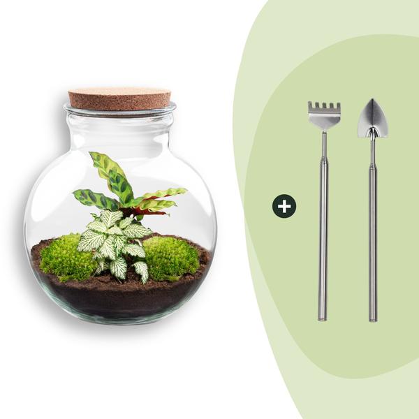 DIY Planten terrarium (met licht) – Teddy – Ø 25 cm ↑ 26,5 cm – Rake + Shovel