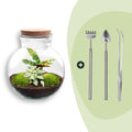 DIY Planten terrarium (met licht) – Teddy – Ø 25 cm ↑ 26,5 cm – Rake + Shovel + Tweezer