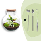 DIY Planten terrarium (met licht) – Teddy – Ø 25 cm ↑ 26,5 cm – Rake + Shovel + Tweezer