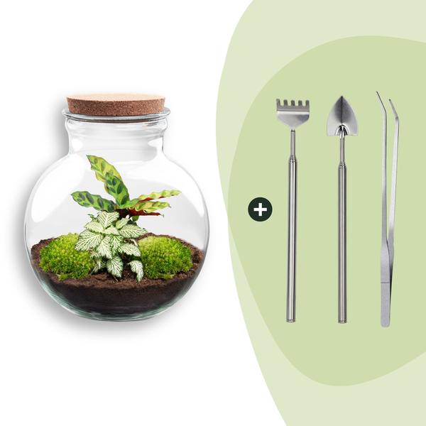 DIY Planten terrarium (met licht) – Teddy – Ø 25 cm ↑ 26,5 cm – Rake + Shovel + Tweezer