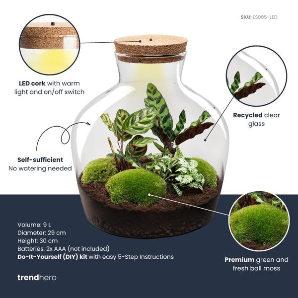 DIY Planten terrarium met licht – Fat Joe – Ø 29 cm ↑ 30 cm – No tools