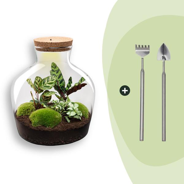 DIY Planten terrarium met licht – Fat Joe – Ø 29 cm ↑ 30 cm – Rake + Shovel