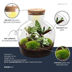 DIY Planten terrarium met licht – Fat Joe – Ø 29 cm ↑ 30 cm – Rake + Shovel