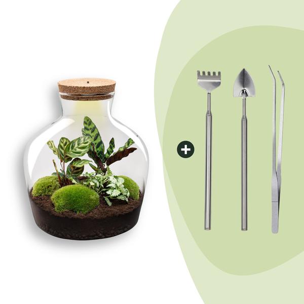 DIY Planten terrarium met licht – Fat Joe – Ø 29 cm ↑ 30 cm – Rake + Shovel + Tweezer