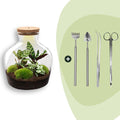 DIY Planten terrarium met licht – Fat Joe – Ø 29 cm ↑ 30 cm – Rake + Shovel + Tweezer + Scissors
