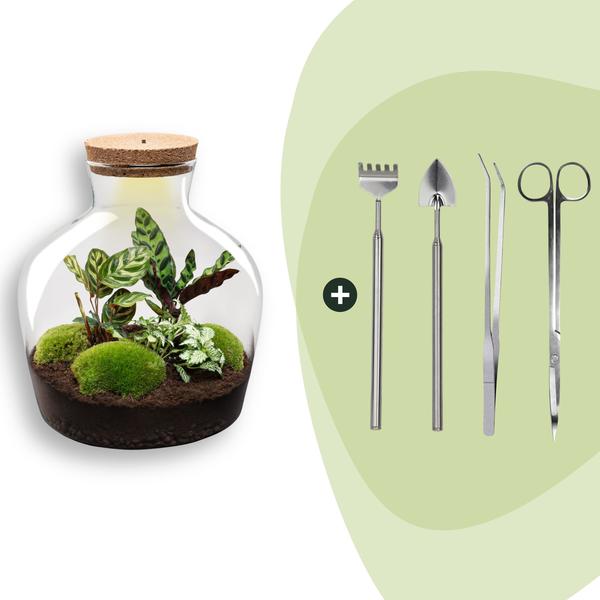 DIY Planten terrarium met licht – Fat Joe – Ø 29 cm ↑ 30 cm – Rake + Shovel + Tweezer + Scissors