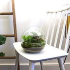 DIY Planten terrarium tweedelig bolglas – Dome – Ø 20 cm ↑ 20 cm – Normal