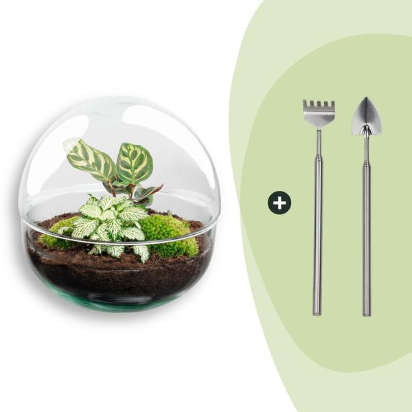 DIY Planten terrarium tweedelig bolglas – Dome – Ø 20 cm ↑ 20 cm – Rake + Shovel