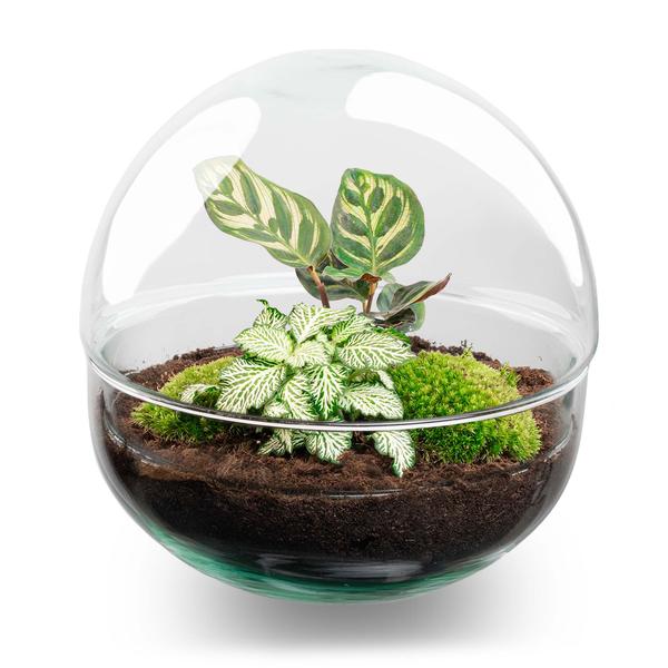 DIY Planten terrarium tweedelig bolglas – Dome – Ø 20 cm ↑ 20 cm – Rake + Shovel