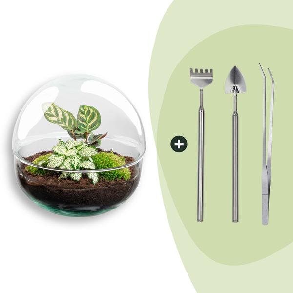 DIY Planten terrarium tweedelig bolglas – Dome – Ø 20 cm ↑ 20 cm – Rake + Shovel + Tweezer
