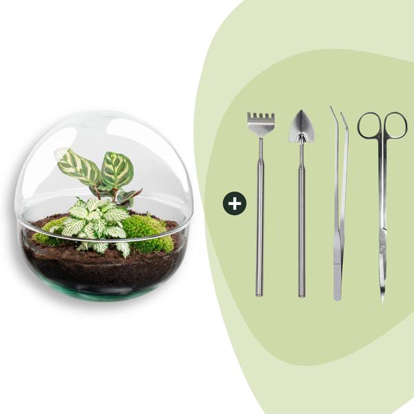 DIY Planten terrarium tweedelig bolglas – Dome – Ø 20 cm ↑ 20 cm – Rake + Shovel + Tweezer + Scissors
