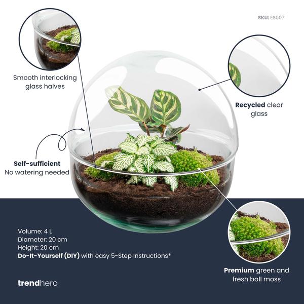 DIY Planten terrarium tweedelig bolglas – Dome – Ø 20 cm ↑ 20 cm – Rake + Shovel + Tweezer + Scissors