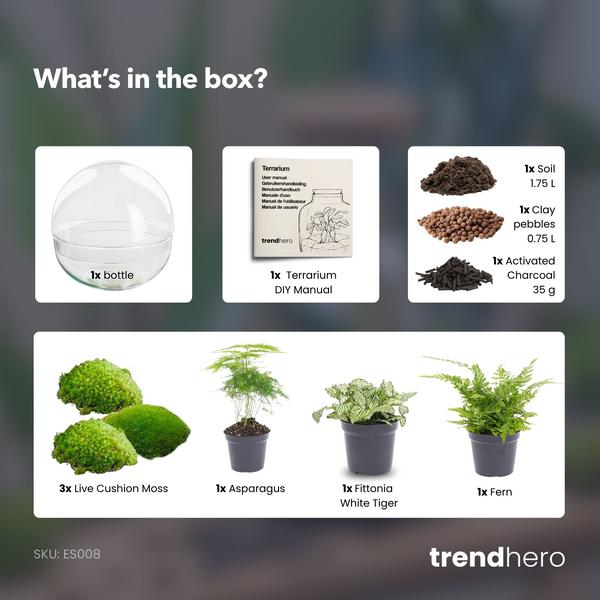 DIY Planten terrarium tweedelig bolglas – Dome XL -Ø 28 cm ↑ 28 cm – No tools