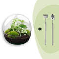 DIY Planten terrarium tweedelig bolglas – Dome XL -Ø 28 cm ↑ 28 cm – Rake + Shovel