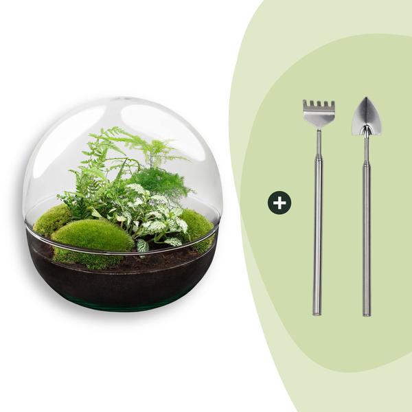 DIY Planten terrarium tweedelig bolglas – Dome XL -Ø 28 cm ↑ 28 cm – Rake + Shovel