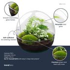 DIY Planten terrarium tweedelig bolglas – Dome XL -Ø 28 cm ↑ 28 cm – Rake + Shovel