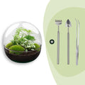 DIY Plant Terrarium Two-Piece Globe Glass – Dome XL -Ø 28 cm ↑ 28 cm – Rake + Shovel + Tweezers