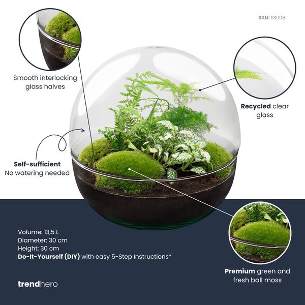 DIY Planten terrarium tweedelig bolglas – Dome XL -Ø 28 cm ↑ 28 cm – Rake + Shovel + Tweezer