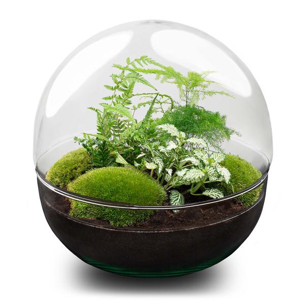 DIY Planten terrarium tweedelig bolglas – Dome XL -Ø 28 cm ↑ 28 cm – Rake + Shovel + Tweezer
