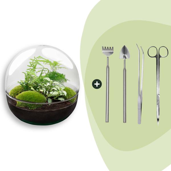 DIY Planten terrarium tweedelig bolglas – Dome XL -Ø 28 cm ↑ 28 cm – Rake + Shovel + Tweezer + Scissors