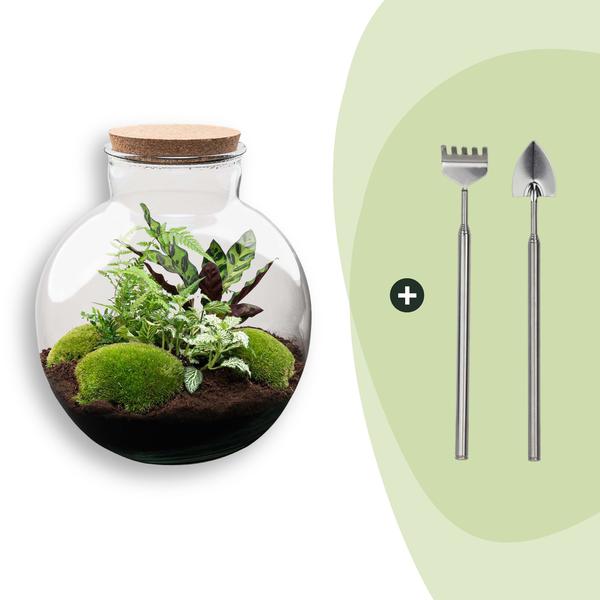DIY Planten terrarium (met verlichting) – Bolder Bob – Ø 31 cm ↑ 30 cm – Rake + Shovel