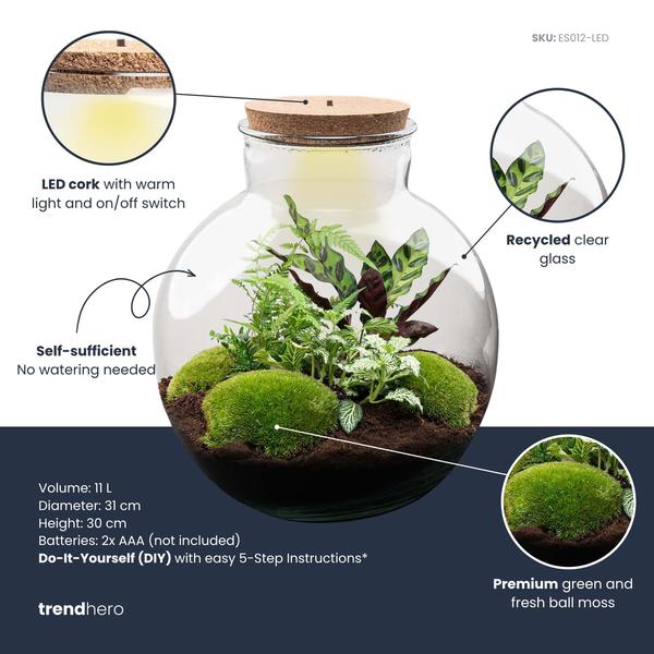 DIY Planten terrarium (met verlichting) – Bolder Bob – Ø 31 cm ↑ 30 cm – Rake + Shovel