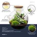 DIY Planten terrarium (met verlichting) – Bolder Bob – Ø 31 cm ↑ 30 cm – Rake + Shovel