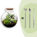 DIY Planten terrarium (met verlichting) – Bolder Bob – Ø 31 cm ↑ 30 cm – Rake + Shovel + Tweezer