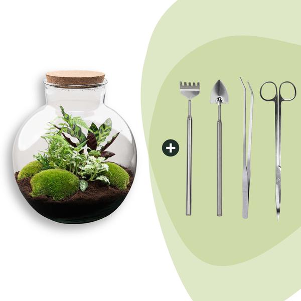 DIY Planten terrarium (met verlichting) – Bolder Bob – Ø 31 cm ↑ 30 cm – Rake + Shovel + Tweezer + Scissors