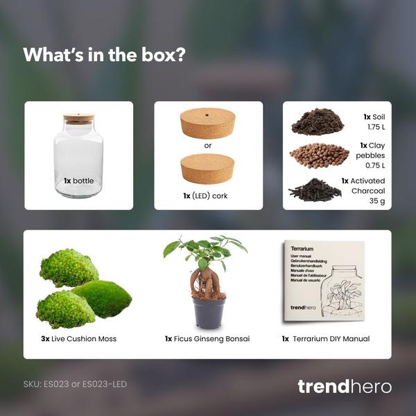 DIY Planten terrarium met licht – Milky Bonsai – Ø 21 cm ↑ 30 cm – No tools