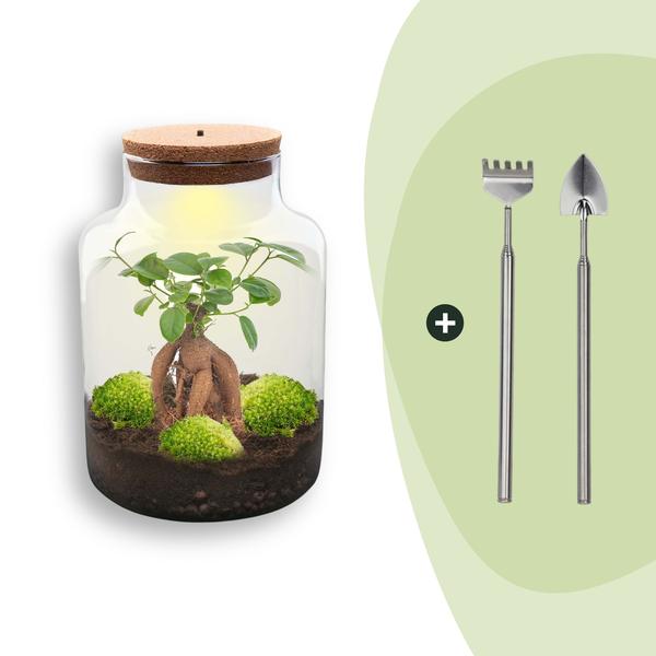 DIY Planten terrarium met licht – Milky Bonsai – Ø 21 cm ↑ 30 cm – Rake + Shovel