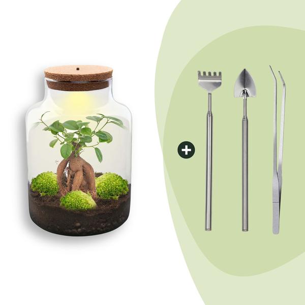 DIY Planten terrarium met licht – Milky Bonsai – Ø 21 cm ↑ 30 cm – Rake + Shovel + Tweezer