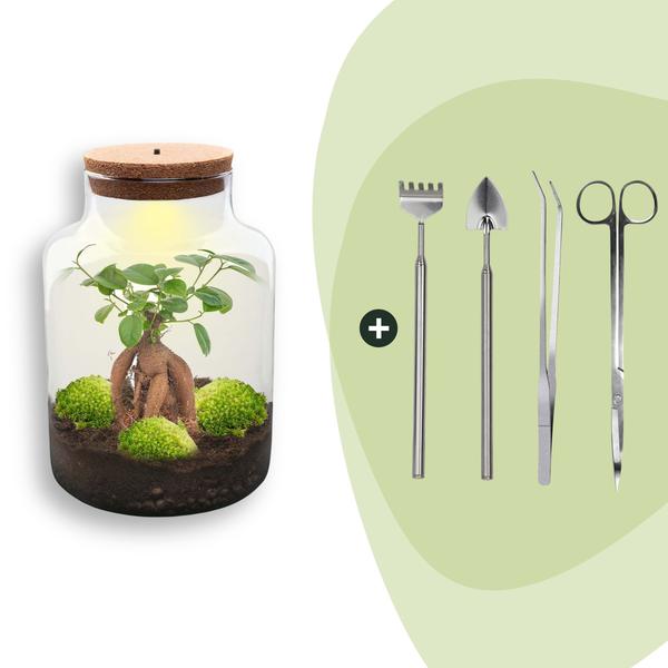 DIY Planten terrarium met licht – Milky Bonsai – Ø 21 cm ↑ 30 cm – Rake + Shovel + Tweezer + Scissors