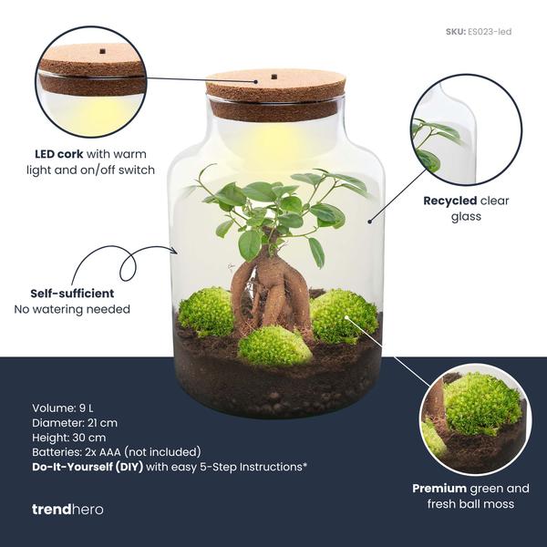 DIY Planten terrarium met licht – Milky Bonsai – Ø 21 cm ↑ 30 cm – Rake + Shovel + Tweezer + Scissors