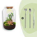 DIY terrarium – Sven XL Bonsai – Met verlichting – ↕ 43 cm – Rake + Shovel + Tweezer