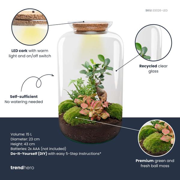 DIY terrarium – Sven XL Bonsai – Met verlichting – ↕ 43 cm – Rake + Shovel + Tweezer