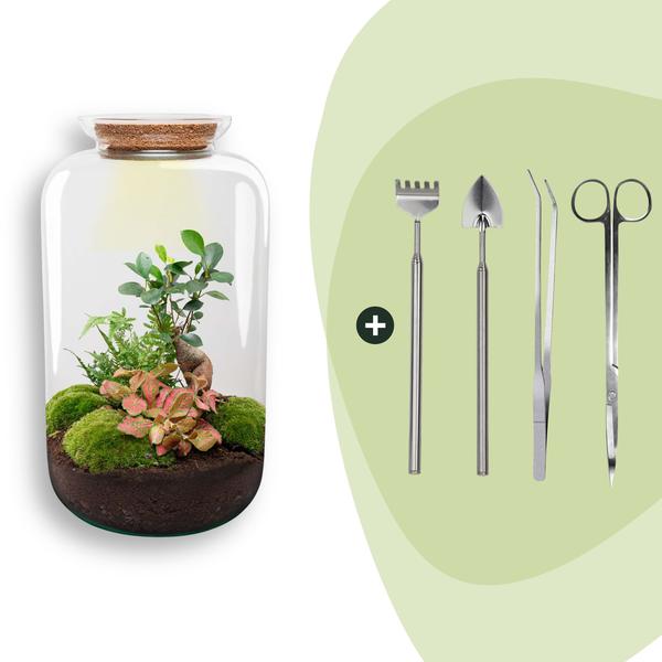 DIY terrarium – Sven XL Bonsai – Met verlichting – ↕ 43 cm – Rake + Shovel + Tweezer + Scissors